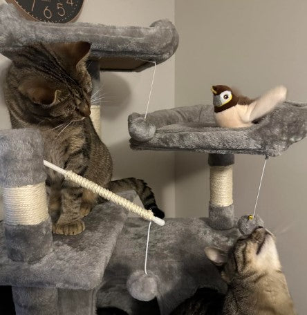 Bobby The Sparrow - Interactive Cat Toy